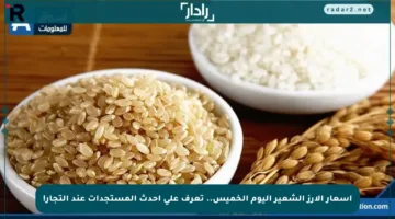أسعار الأرز الشعير اليوم الخميس.. تعرف على أحدث المستجدات عند التجار!